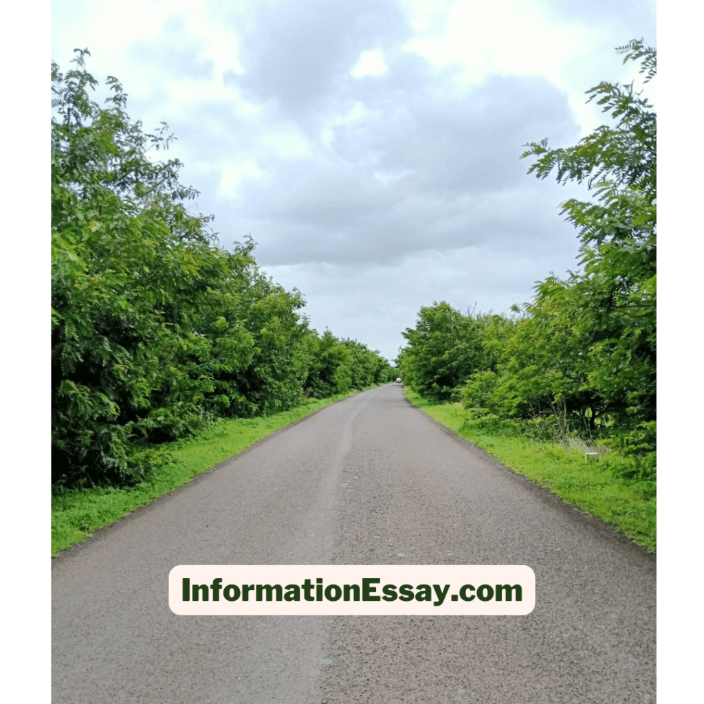 Image contains road, green trees and clouds 